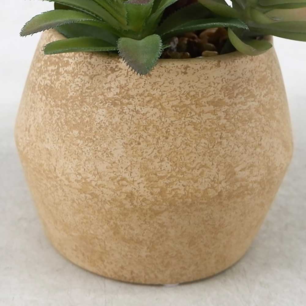 MC22-12895P 8.5＂H Mixed succulent
