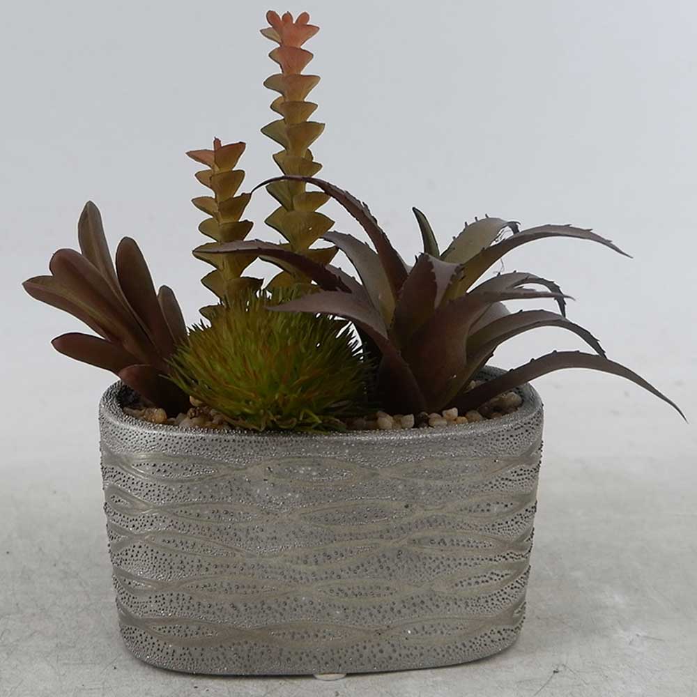 MC22-12918P 7＂H Mixed succulent