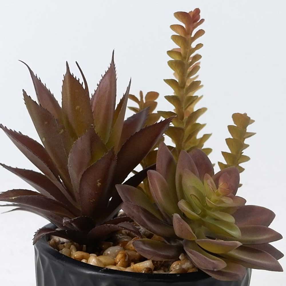 MC22-12902P 9＂H Mixed succulent