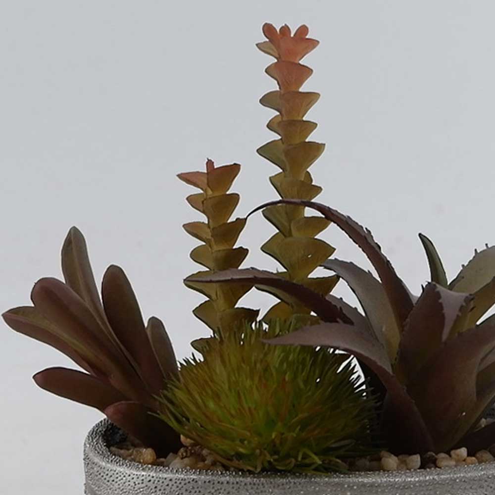 MC22-12918P 7＂H Mixed succulent