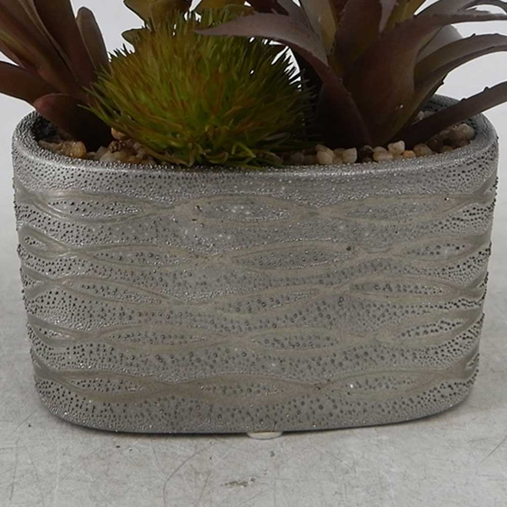 MC22-12918P 7＂H Mixed succulent
