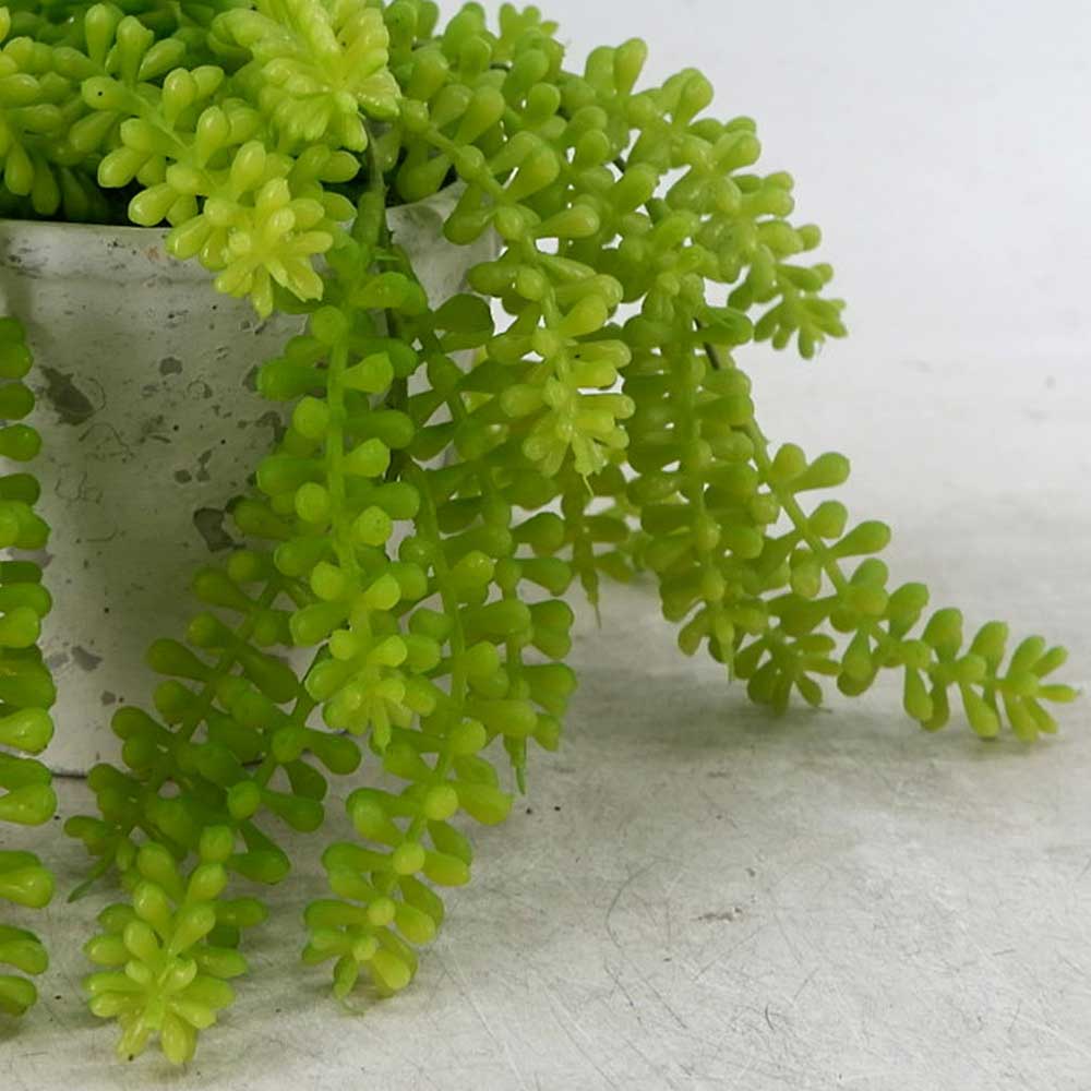 MC22-12923S 10"L succulent