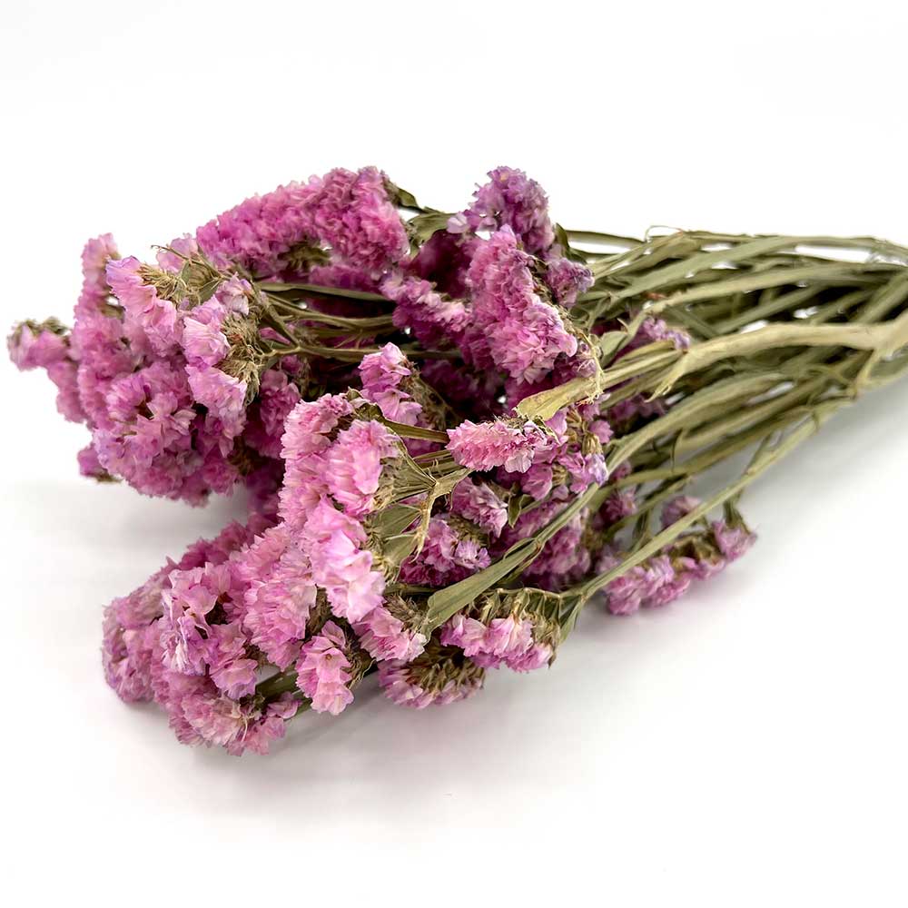 MCD101007PK Dried Pink Statice