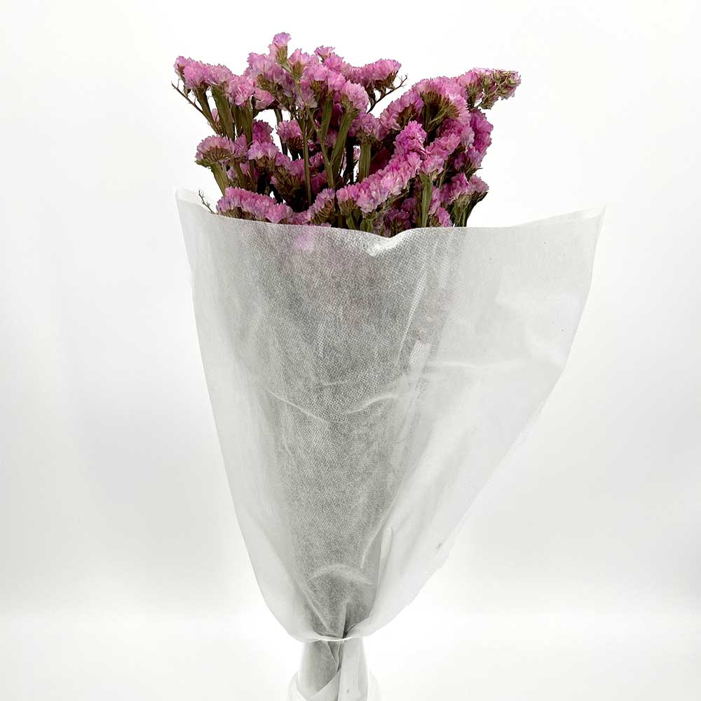 MCD101007PK Dried Pink Statice