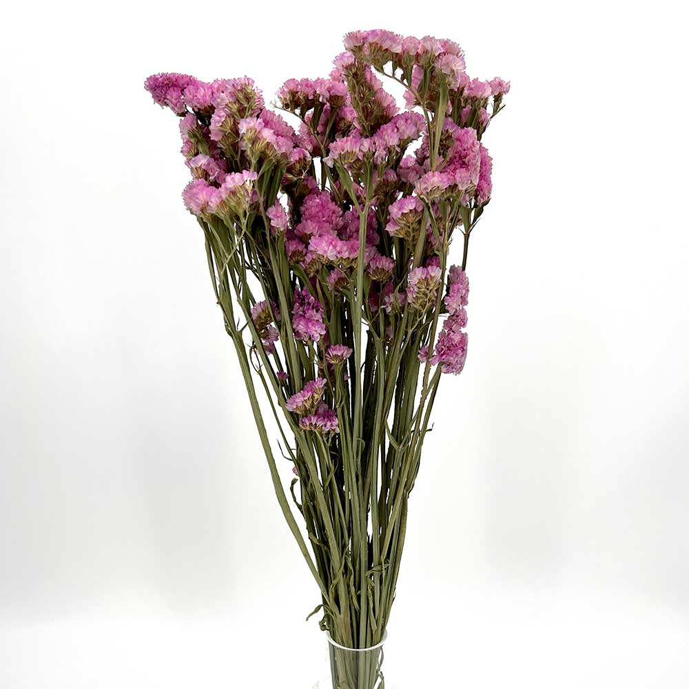 MCD101007PK Dried Pink Statice