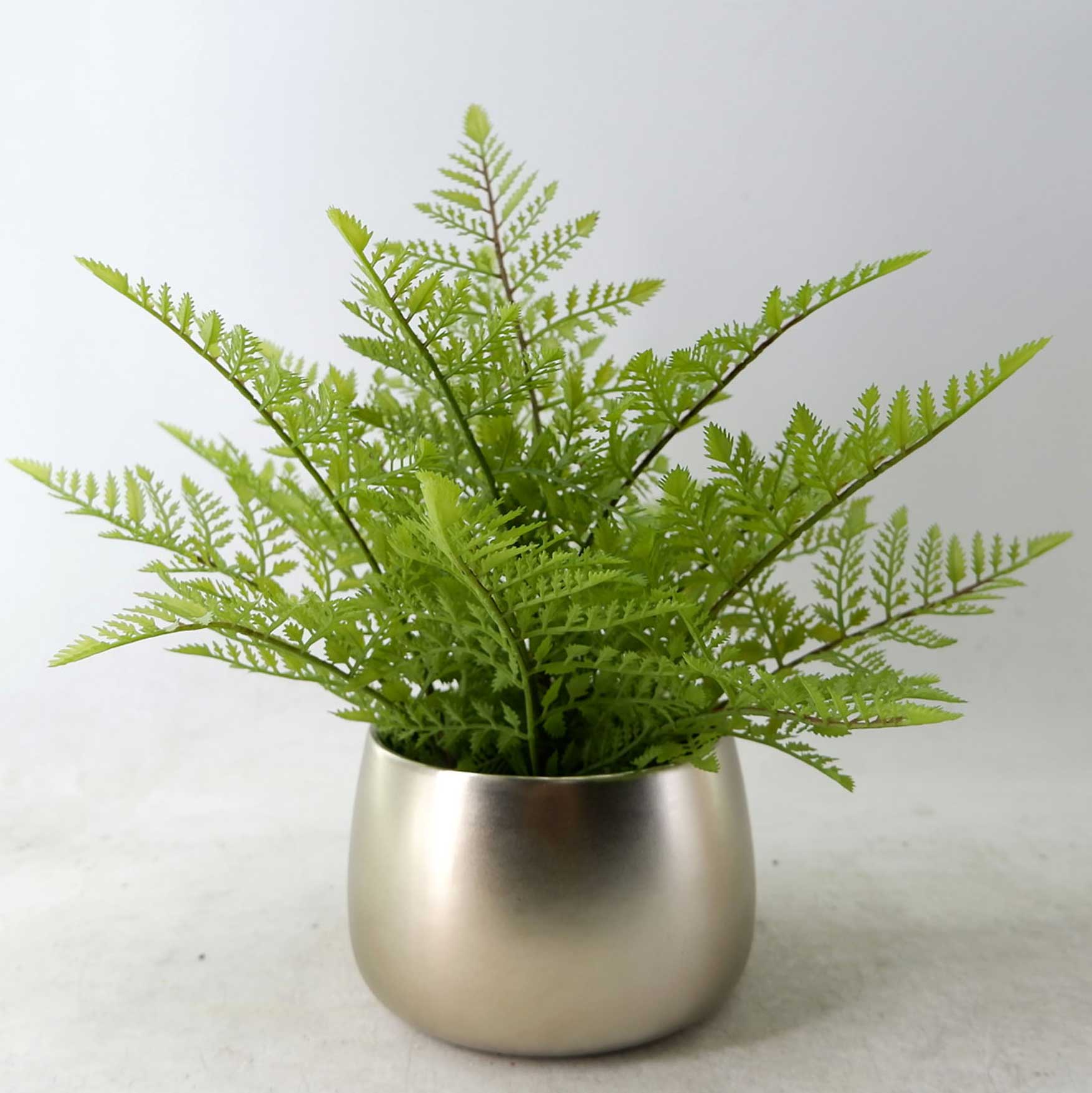 MC23-13459P Fern H13.5＂