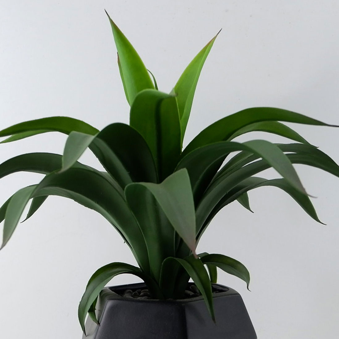 MC22-13417P Grass H18＂