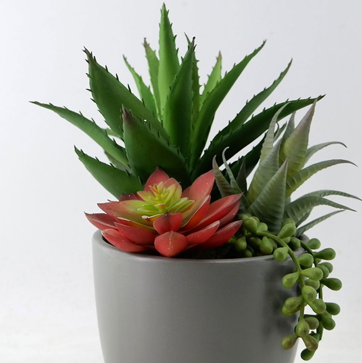 MC22-13408P Mixed succulent H12"