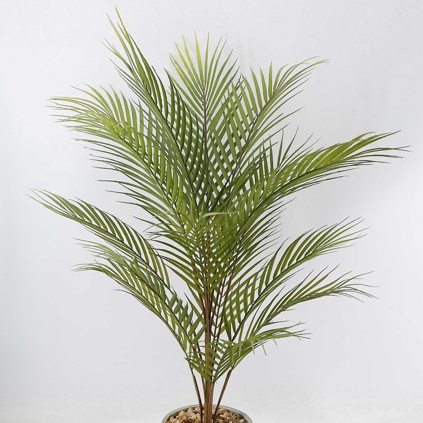 MC21-10030P Fern H32.5＂