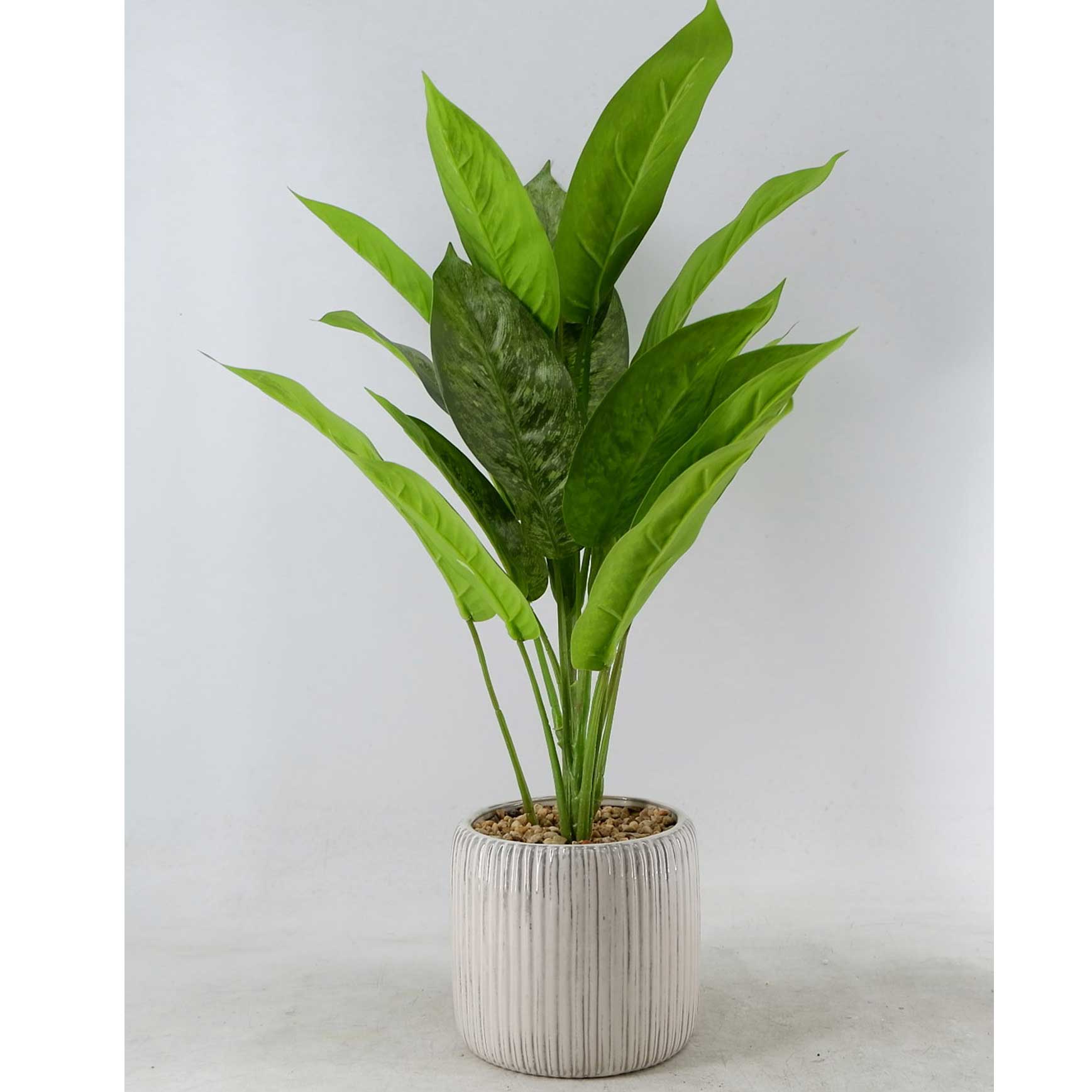 MC22-12249P Mini plant H24＂