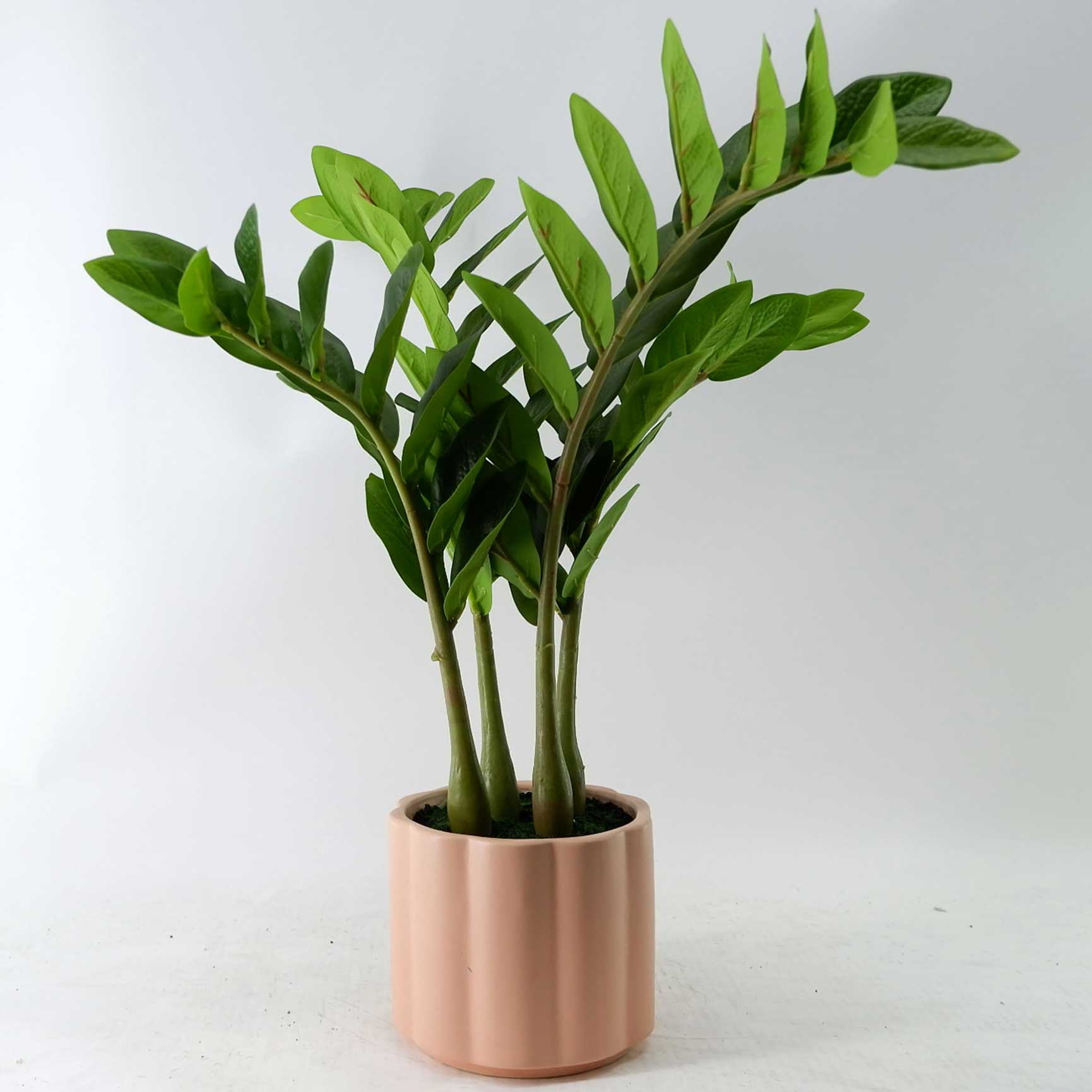 MC23-14033P Mini tree H20"