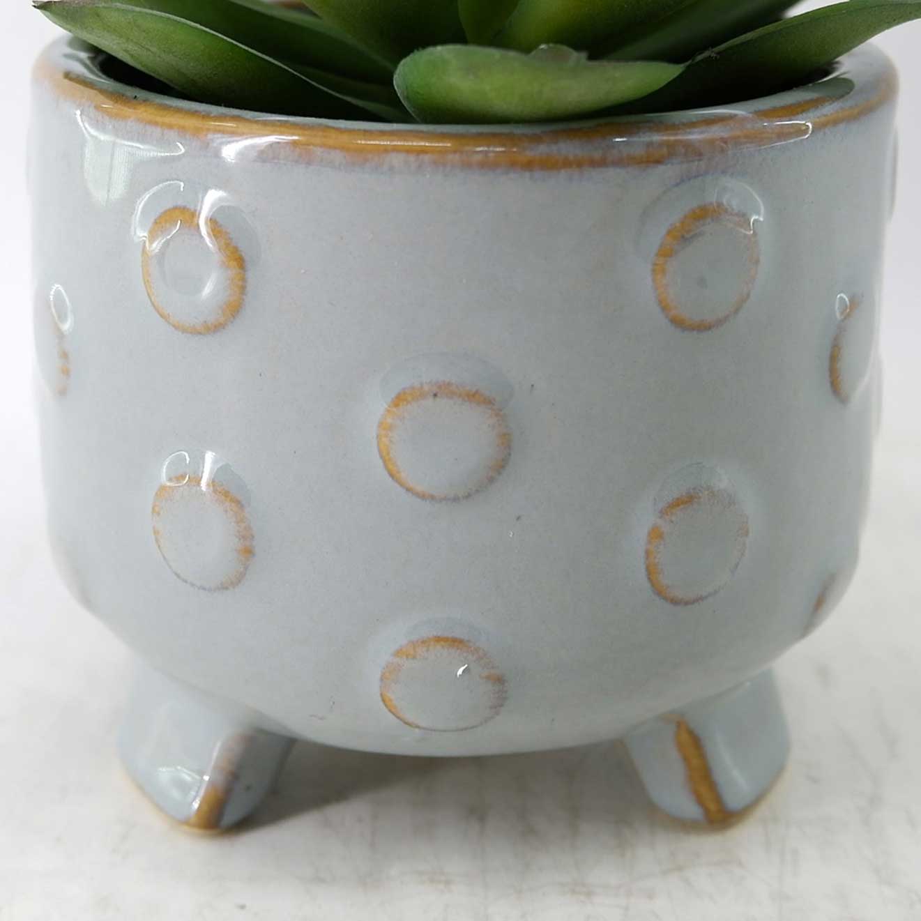 MC23-14530P Succulent H5.75＂