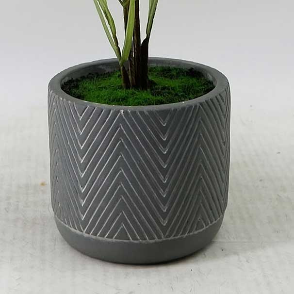 MC23-14973S Fern H21＂