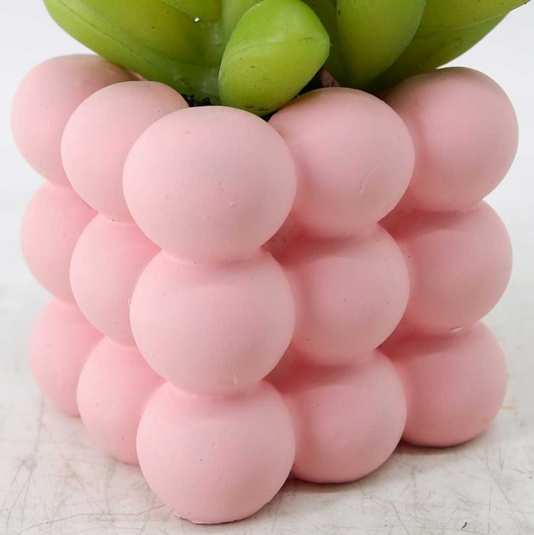 MC23-14664S Succulent H4.5＂