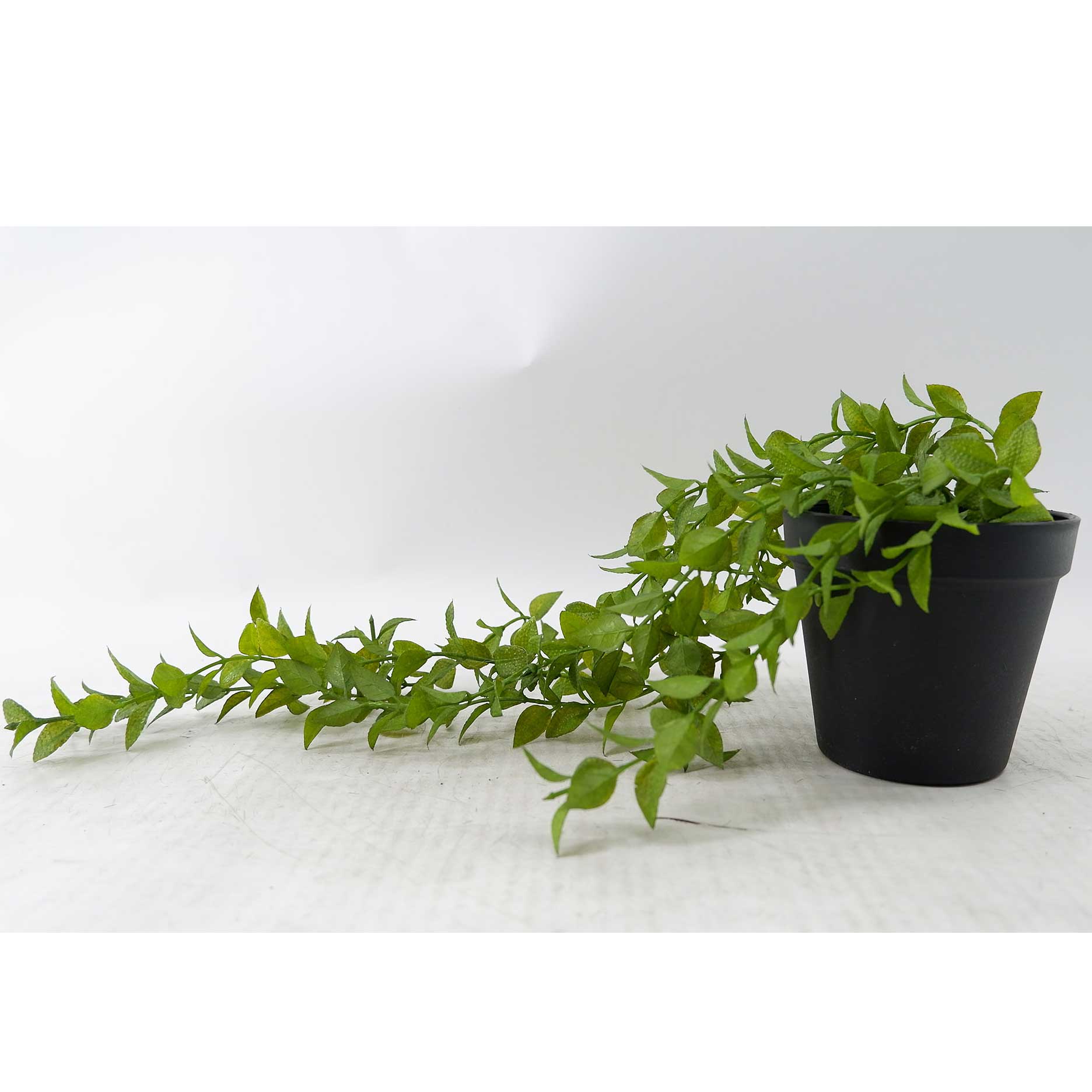 MC23-14972J Trailing plant L15.5＂
