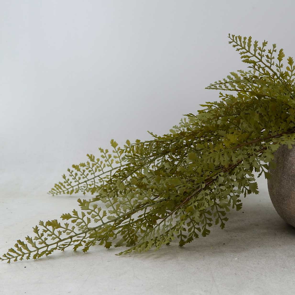 MC22-13233S Trailing fern L22＂